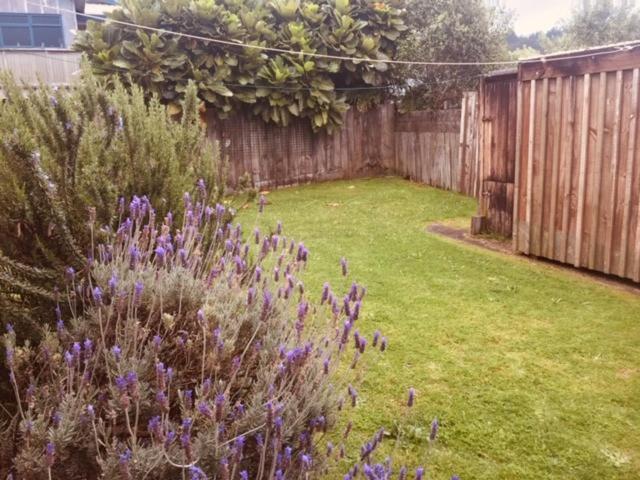 Mollies Place - Waihi Beach Holiday Unit Екстериор снимка